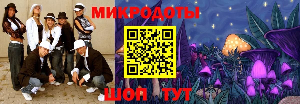 Галлюциногенные грибы прущие грибы Тамбов