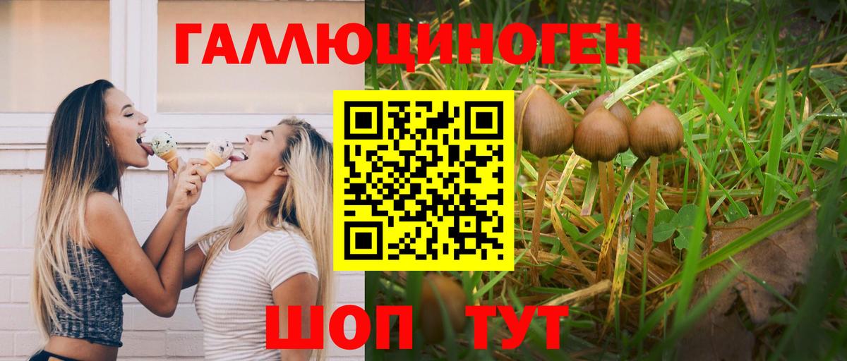 Тамбов  Галлюциногенные грибы Psilocybe  Вход с VPN 