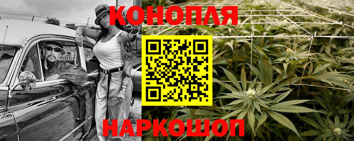 Бошки Шишки марихуана Тамбов